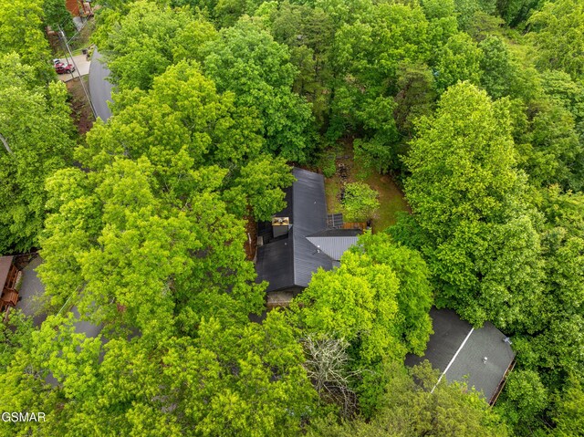 2887 Pine Haven Dr, Sevierville, TN 37862 - view from above of property