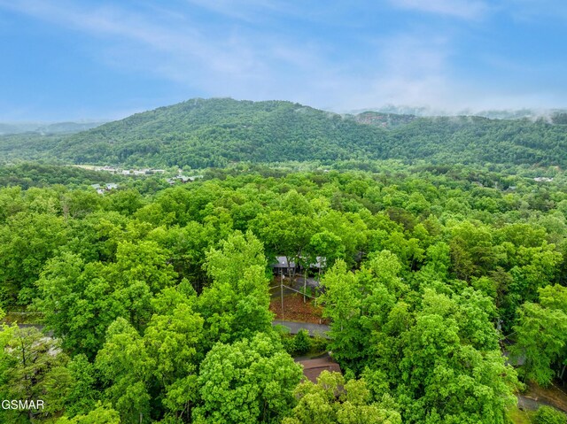 2887 Pine Haven Dr, Sevierville, TN 37862 - mountain view with a heavily wooded area