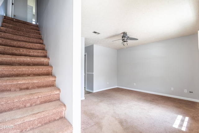 289 Main St, Maynardville, TN 37807 - photo 5