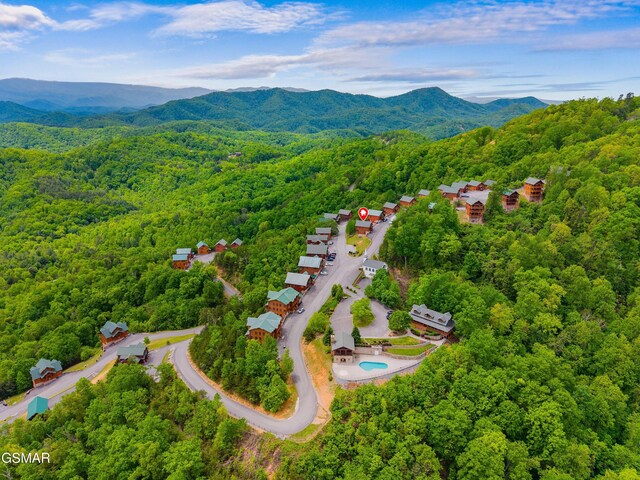 3105 Lakeview Lodge Dr, Sevierville, TN 37862 - photo 4