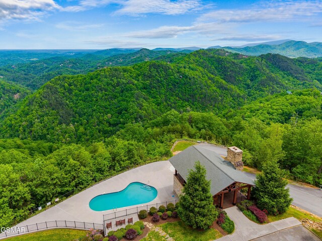 3105 Lakeview Lodge Dr, Sevierville, TN 37862 - photo 29