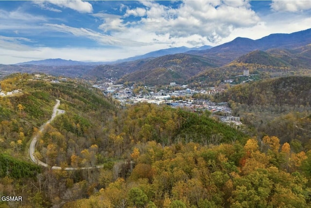 809 Crystal Branch Way, Gatlinburg, TN 37738 - photo 45