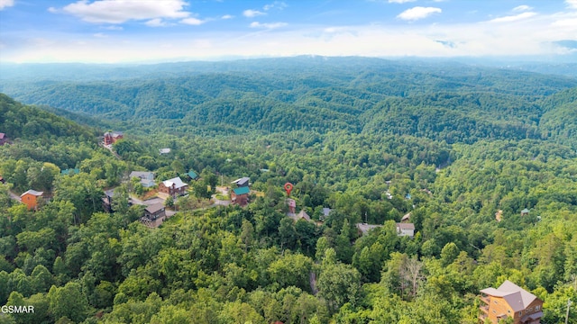 1830 Blue Tick Way, Sevierville, TN 37876 - drone / aerial view of a heavily wooded area
