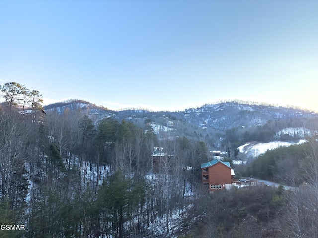 property view of mountains