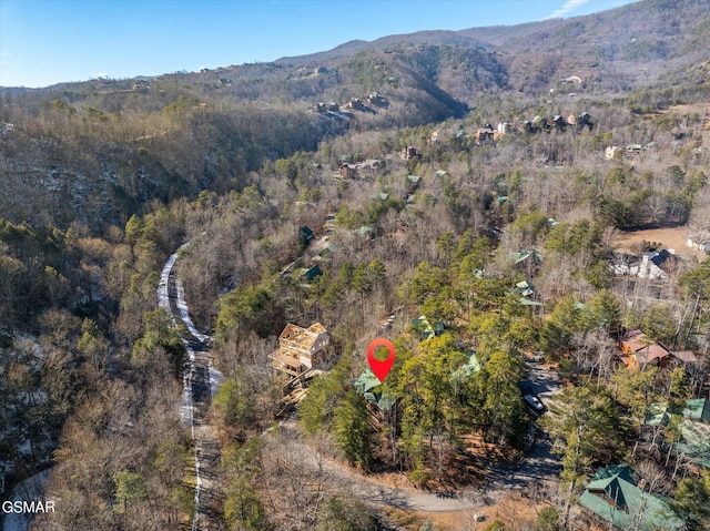 birds eye view of property featuring a mountain view