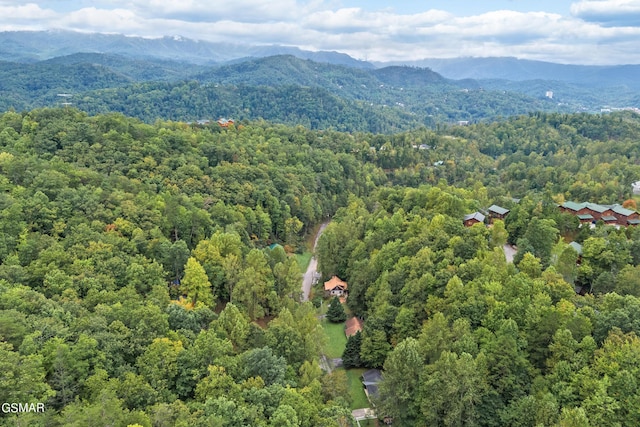 drone / aerial view with a mountain view