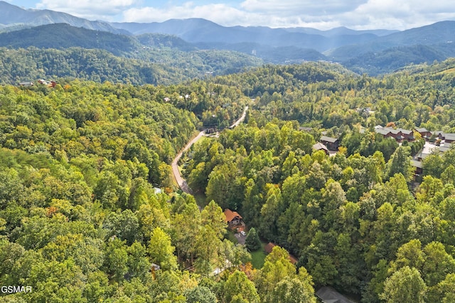 aerial view with a mountain view