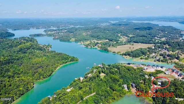 1128 Sanctuary Shores Way, Sevierville, TN 37876 - photo 62