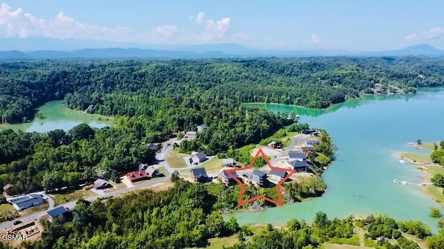1128 Sanctuary Shores Way, Sevierville, TN 37876 - photo 61