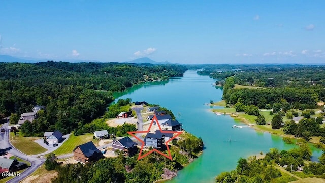 1128 Sanctuary Shores Way, Sevierville, TN 37876 - photo 60