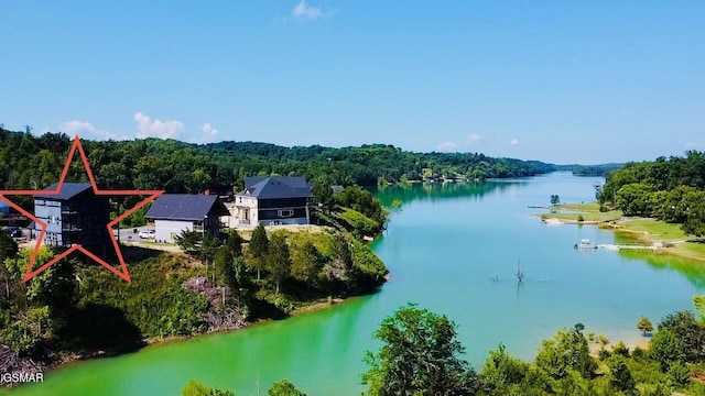 1128 Sanctuary Shores Way, Sevierville, TN 37876 - photo 58