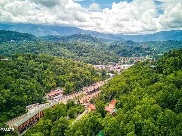 627 Red Bud Ln, Gatlinburg, TN 37738 - photo 31