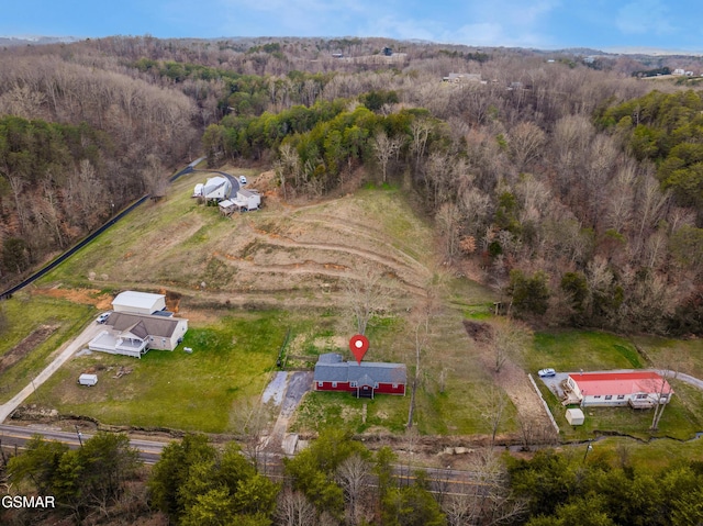 aerial view with a view of trees