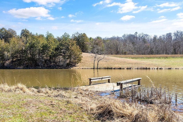 9111 Brownlow Newman Ln, Knoxville, TN 37914 - photo 50