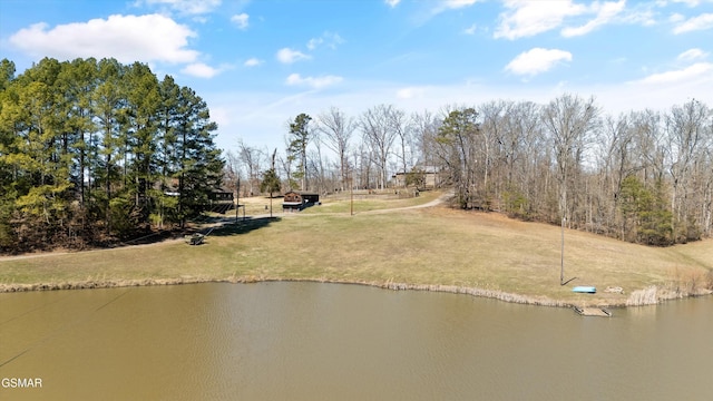 9111 Brownlow Newman Ln, Knoxville, TN 37914 - photo 48