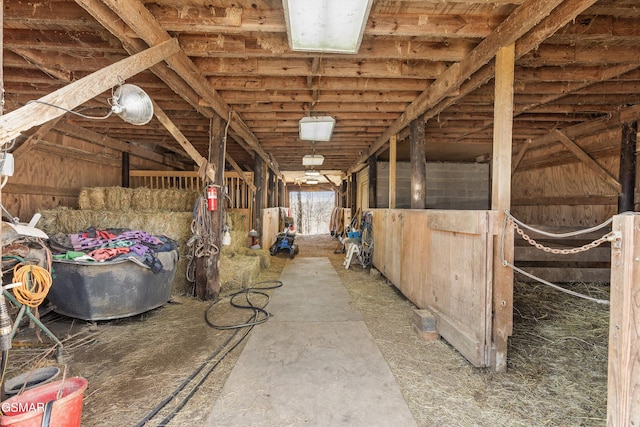 9111 Brownlow Newman Ln, Knoxville, TN 37914 - photo 39