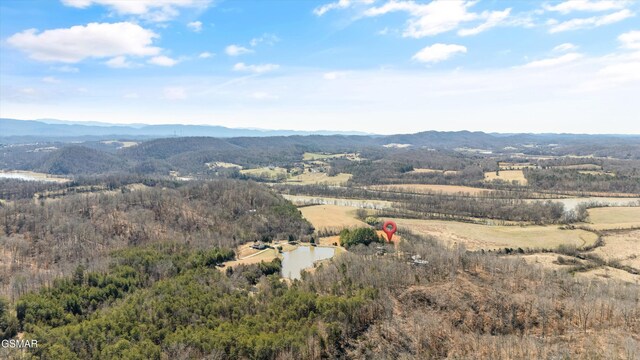9111 Brownlow Newman Ln, Knoxville, TN 37914 - photo 56