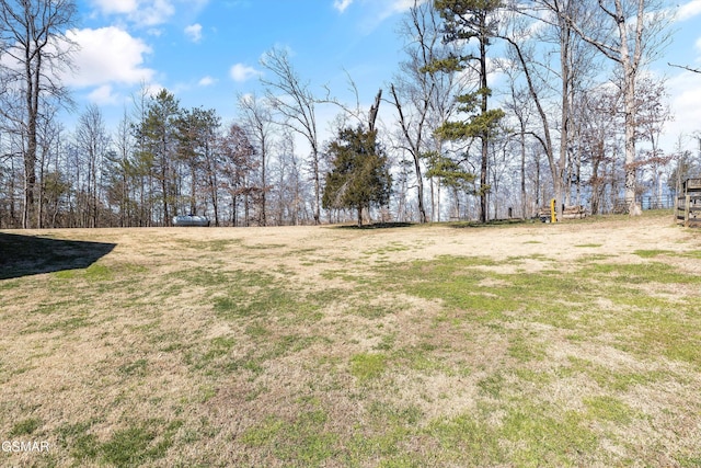 9111 Brownlow Newman Ln, Knoxville, TN 37914 - photo 51
