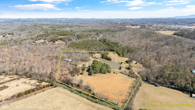 9111 Brownlow Newman Ln, Knoxville, TN 37914 - photo 59
