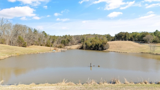 9111 Brownlow Newman Ln, Knoxville, TN 37914 - photo 49