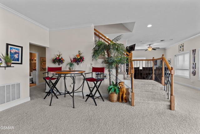 524 Bonne Vista Dr, White Pine, TN 37890