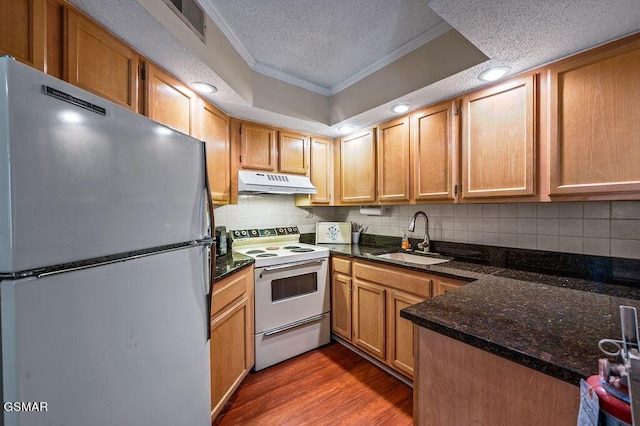 kitchen featuring dark hardwood / wood-style floors, sink, stainless steel refrigerator, white electric range oven, and a textured ceiling