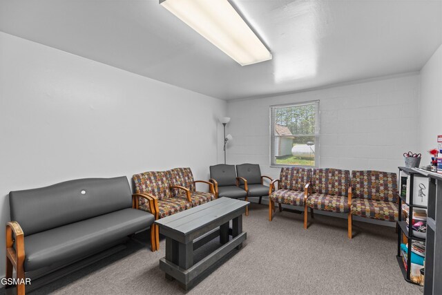 1015 N Union Grove Rd, Friendsville, TN 37737 - photo 19