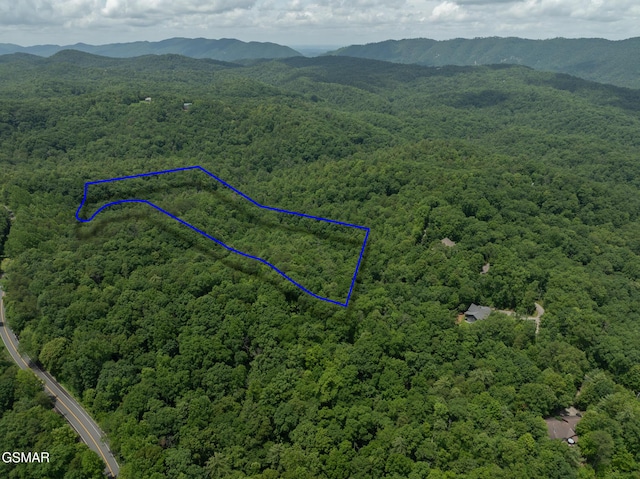 1948 Grouse Top Rd, Walland, TN 37886 - aerial view of property's location featuring a forest and property parcel outlined