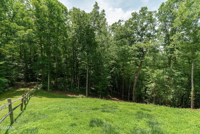 1948 Grouse Top Rd, Walland, TN 37886 - view of yard featuring a wooded view