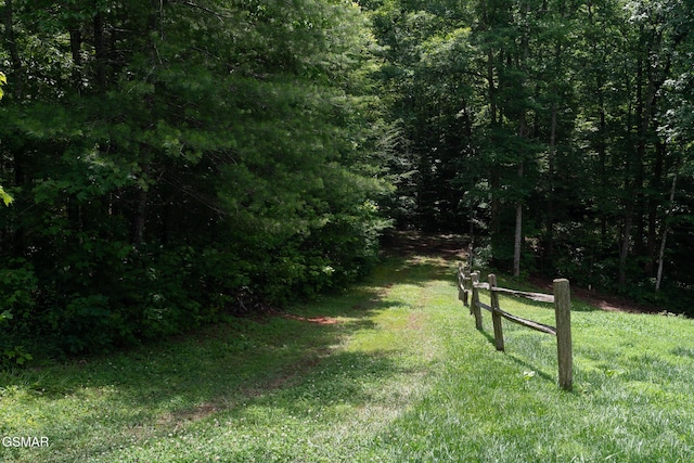 1948 Grouse Top Rd, Walland, TN 37886 - view of yard featuring a view of trees