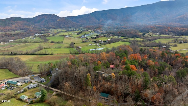 birds eye view of property featuring a mountain view
