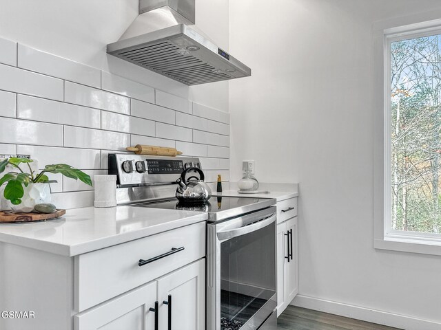 kitchen featuring decorative backsplash, stainless steel electric range, extractor fan, and a healthy amount of sunlight