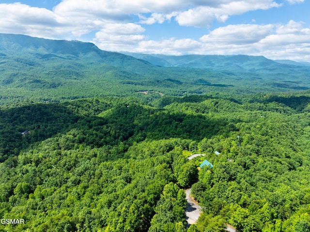 648 Almost Heaven Way, Gatlinburg, TN 37738 - photo 11
