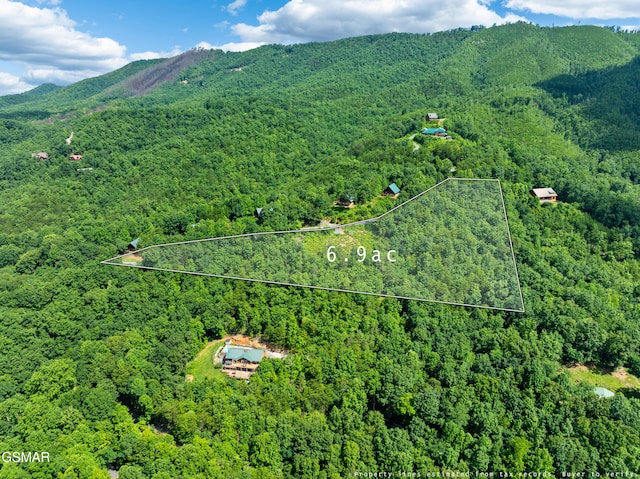648 Almost Heaven Way, Gatlinburg, TN 37738 - photo 13