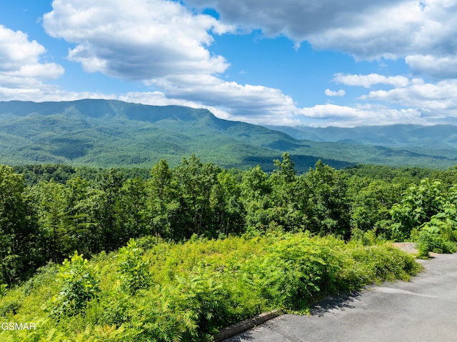 648 Almost Heaven Way, Gatlinburg, TN 37738 - photo 2