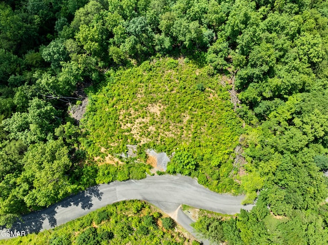 648 Almost Heaven Way, Gatlinburg, TN 37738 - photo 8