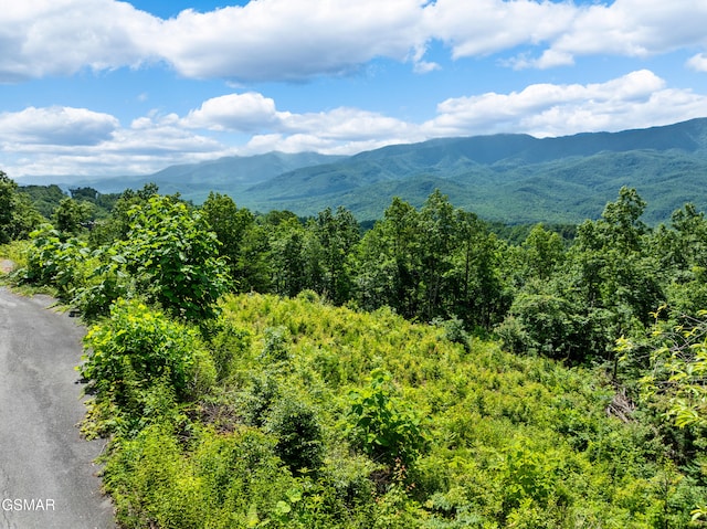 648 Almost Heaven Way, Gatlinburg, TN 37738 - photo 6