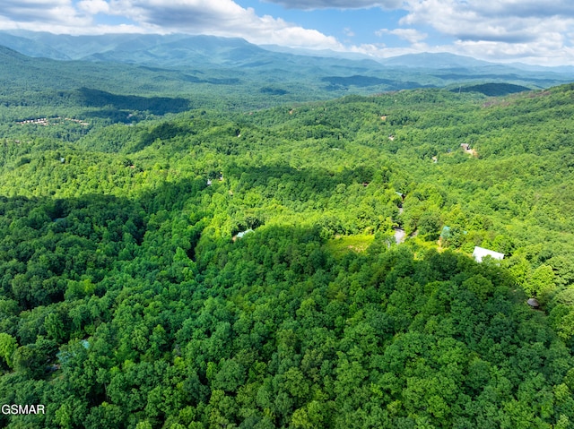 648 Almost Heaven Way, Gatlinburg, TN 37738 - photo 12