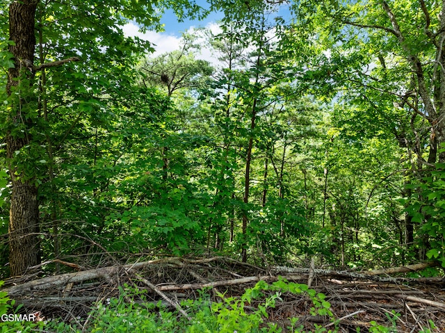 648 Almost Heaven Way, Gatlinburg, TN 37738 - photo 7