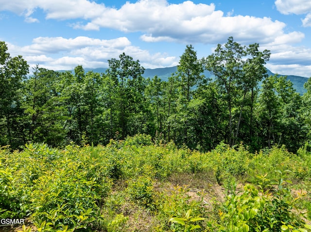 648 Almost Heaven Way, Gatlinburg, TN 37738 - photo 4