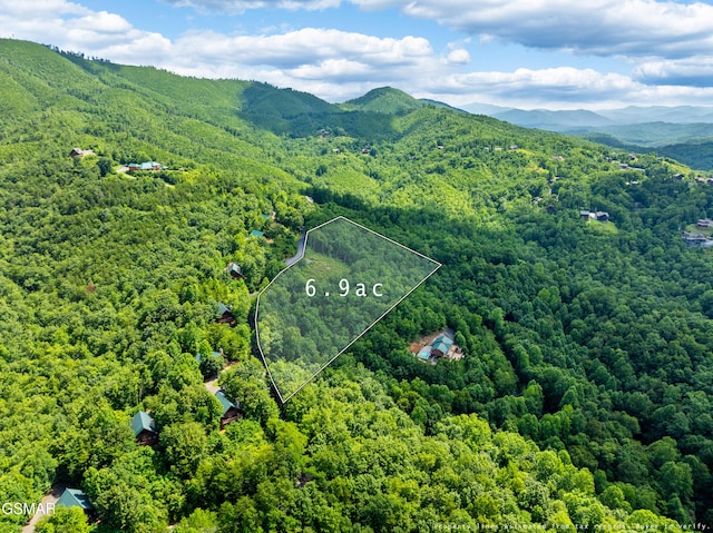 648 Almost Heaven Way, Gatlinburg, TN 37738 - photo 14