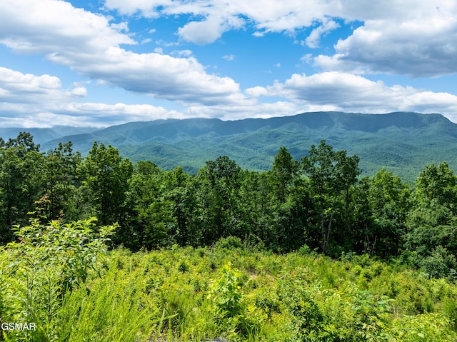 648 Almost Heaven Way, Gatlinburg, TN 37738 - photo 1