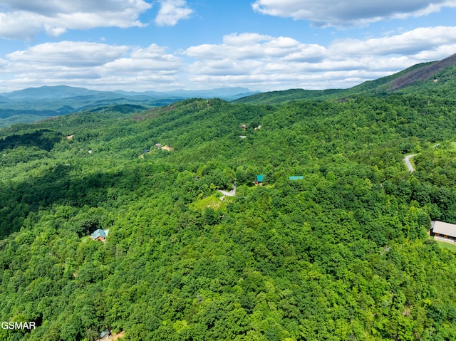648 Almost Heaven Way, Gatlinburg, TN 37738 - photo 10