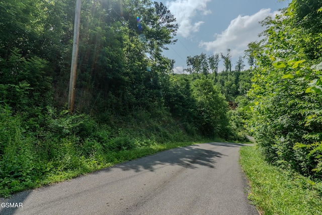 361 Oakwood Dr, Sevierville, TN 37876 - photo 2