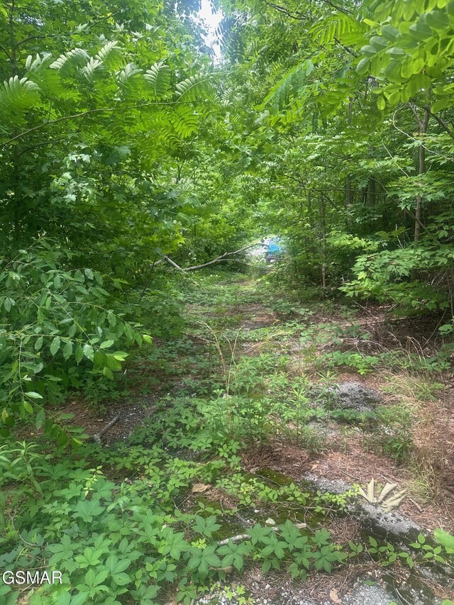 361 Oakwood Dr, Sevierville, TN 37876 - photo 7