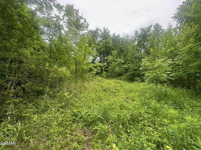361 Oakwood Dr, Sevierville, TN 37876 - photo 6