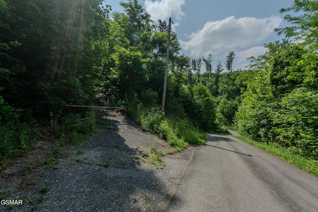361 Oakwood Dr, Sevierville, TN 37876 - photo 3