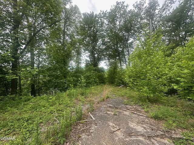 361 Oakwood Dr, Sevierville, TN 37876 - photo 5