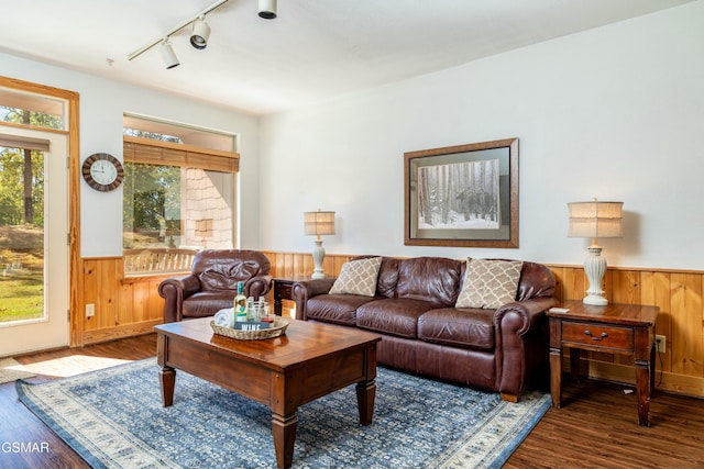 living room featuring wood-type flooring and track lighting