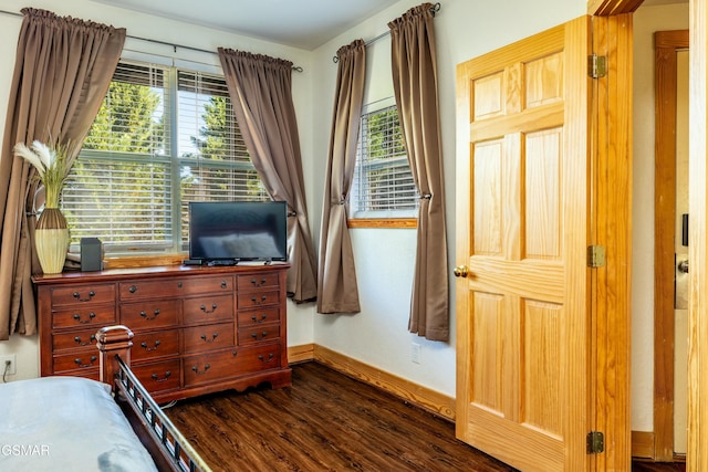 bedroom with dark hardwood / wood-style floors